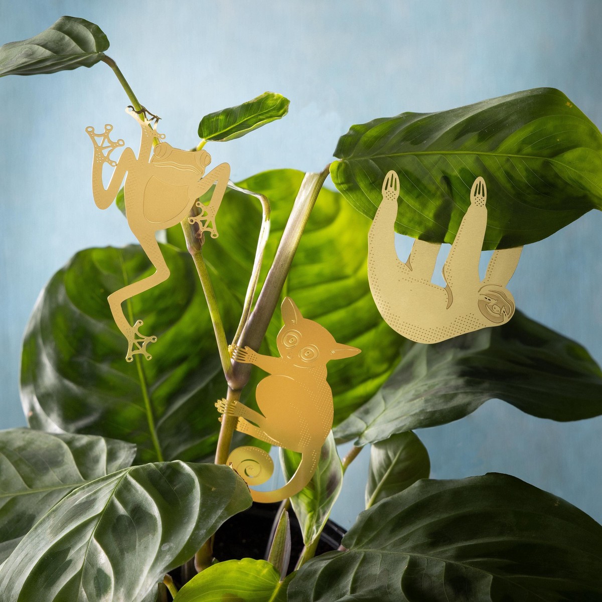 Brass Animal Planter Hangers BushBaby