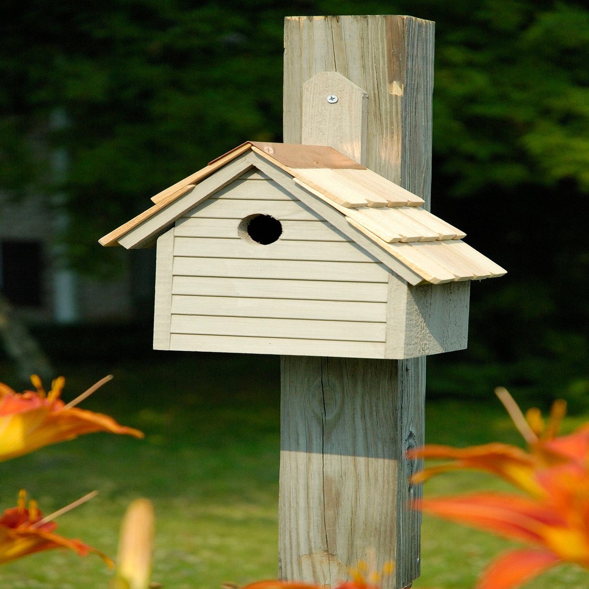 Cape Cod Wren House Green