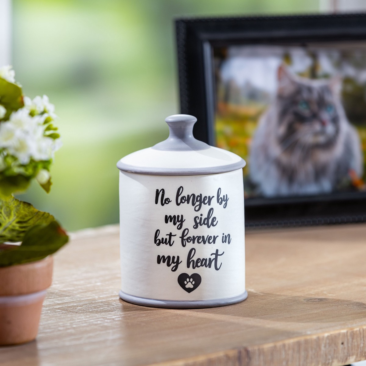 Pet Supplies Accessories Pet Urn No Longer By My Side