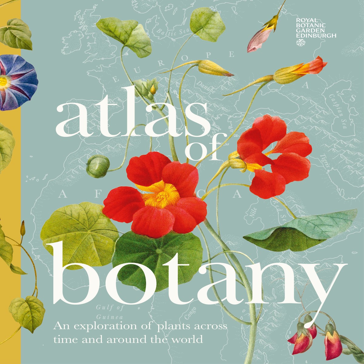 Atlas Of Botany An Exploration Of Plants Across Time And Around The World
