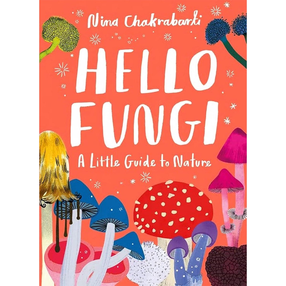 Hello Fungi A Little Guide To Nature