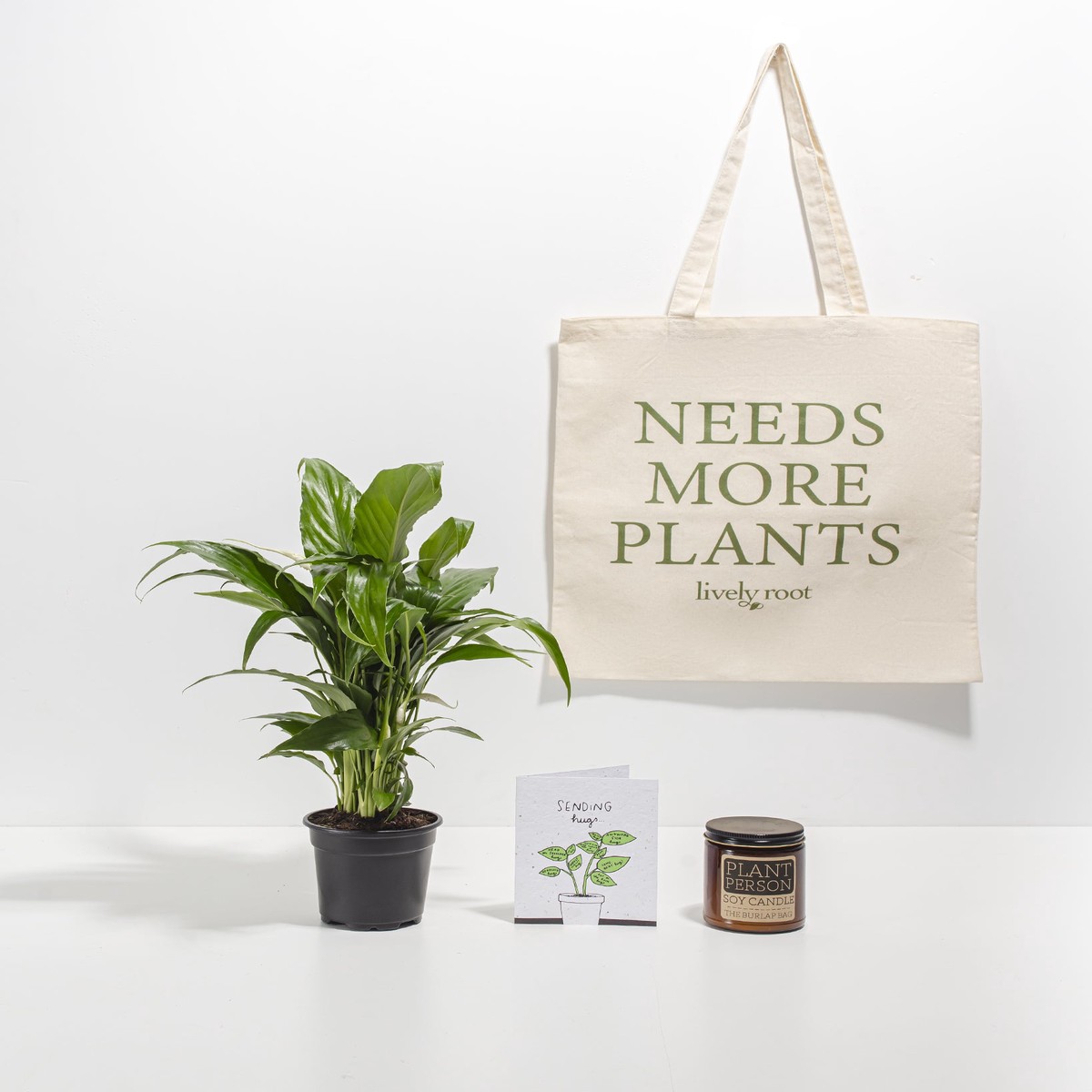 Nature Nurture Care Package Best Selling Plant SmallGrowerVaries