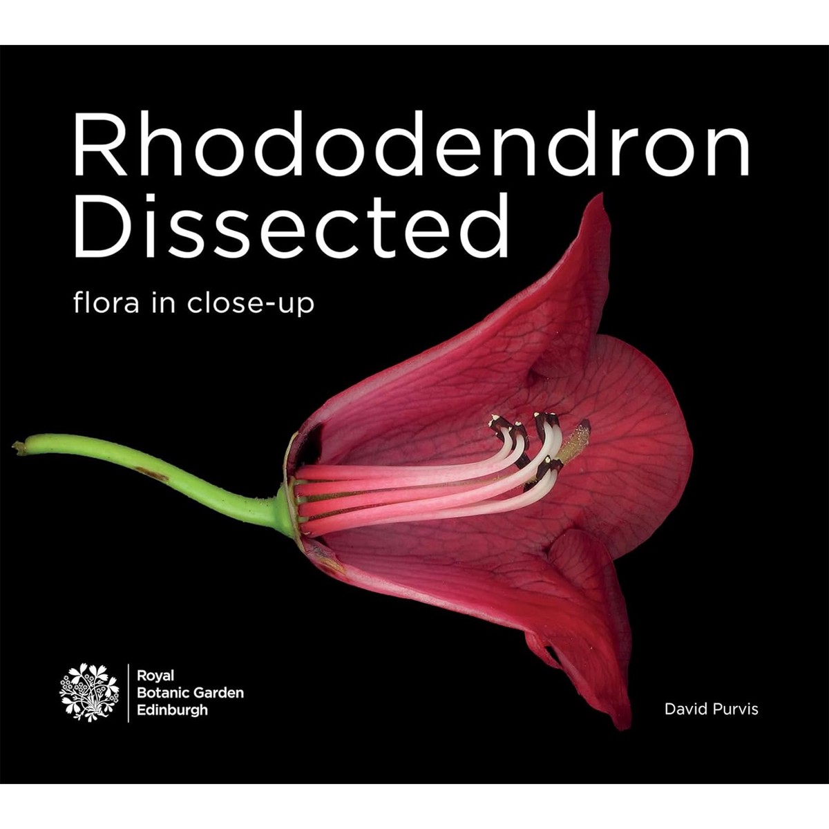 Rhododendron Dissected-Flora in close-up