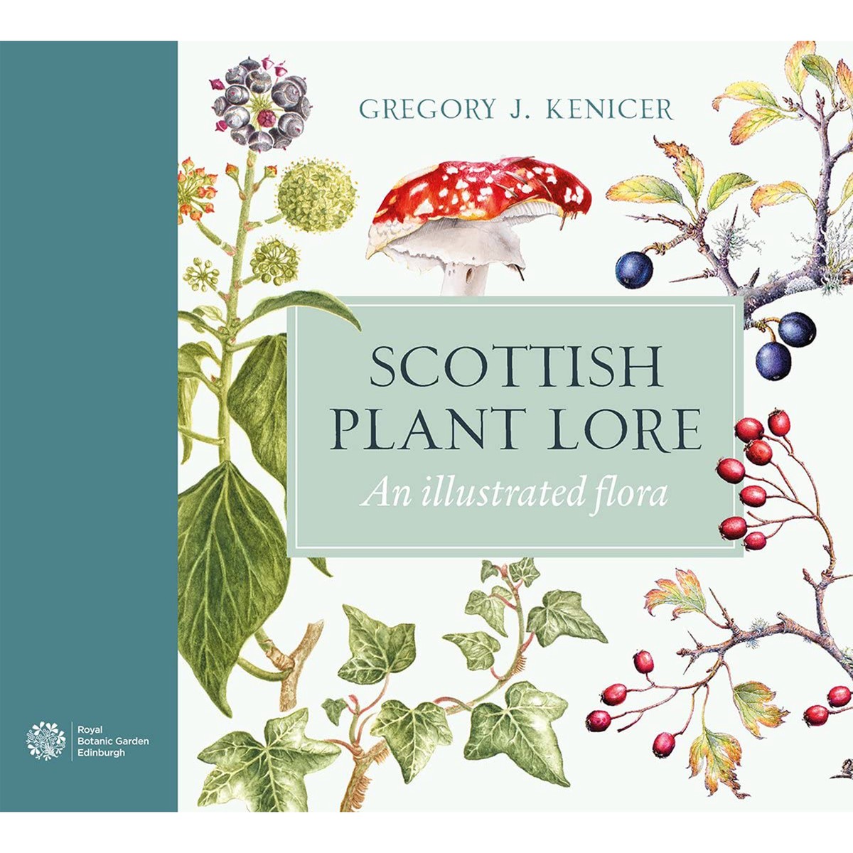 Scottish Plant Lore An Illustrated Flora