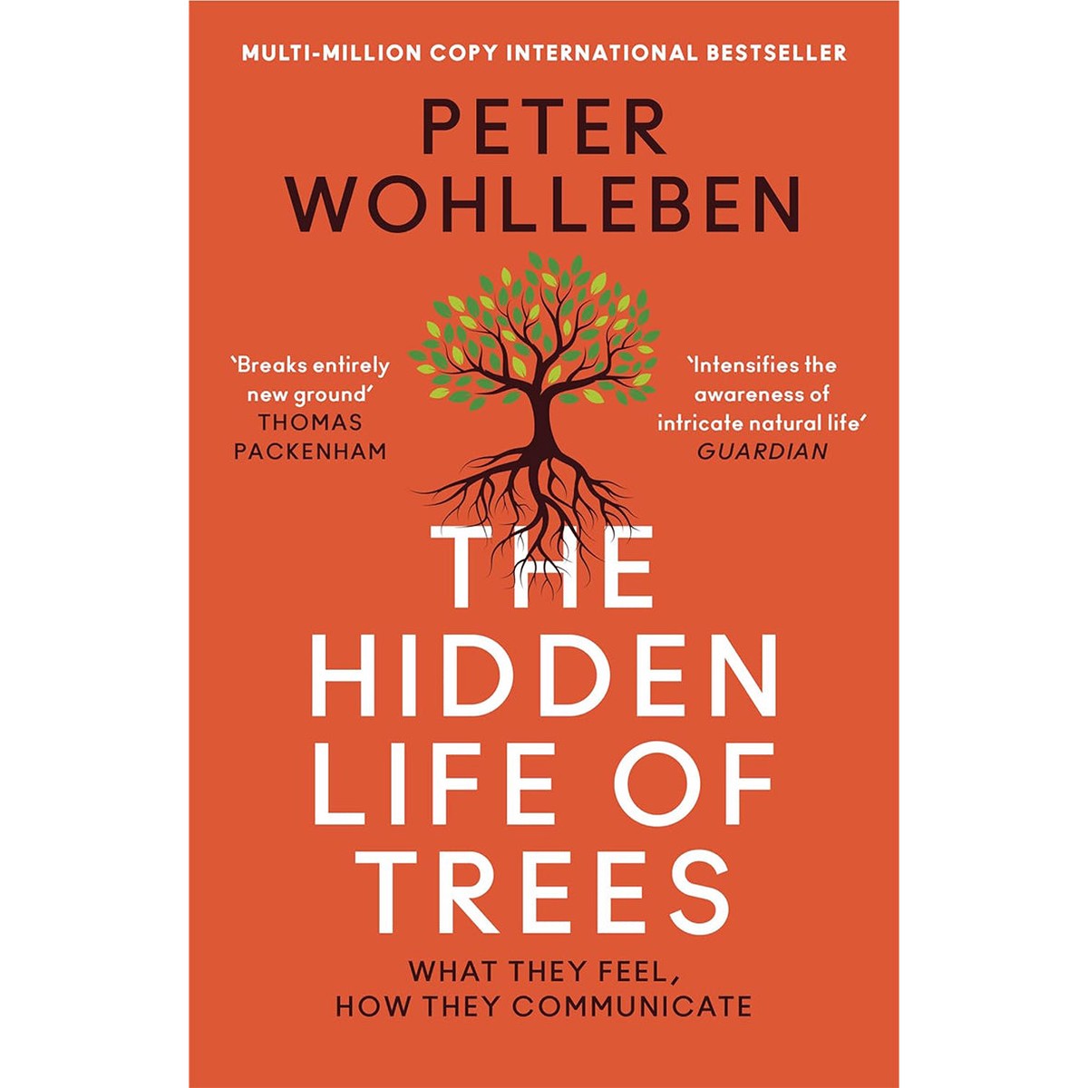 The Hidden Life of Trees