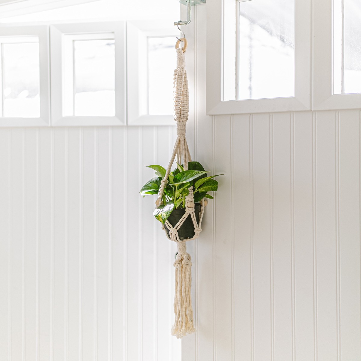 Hanging Plant Kit Small