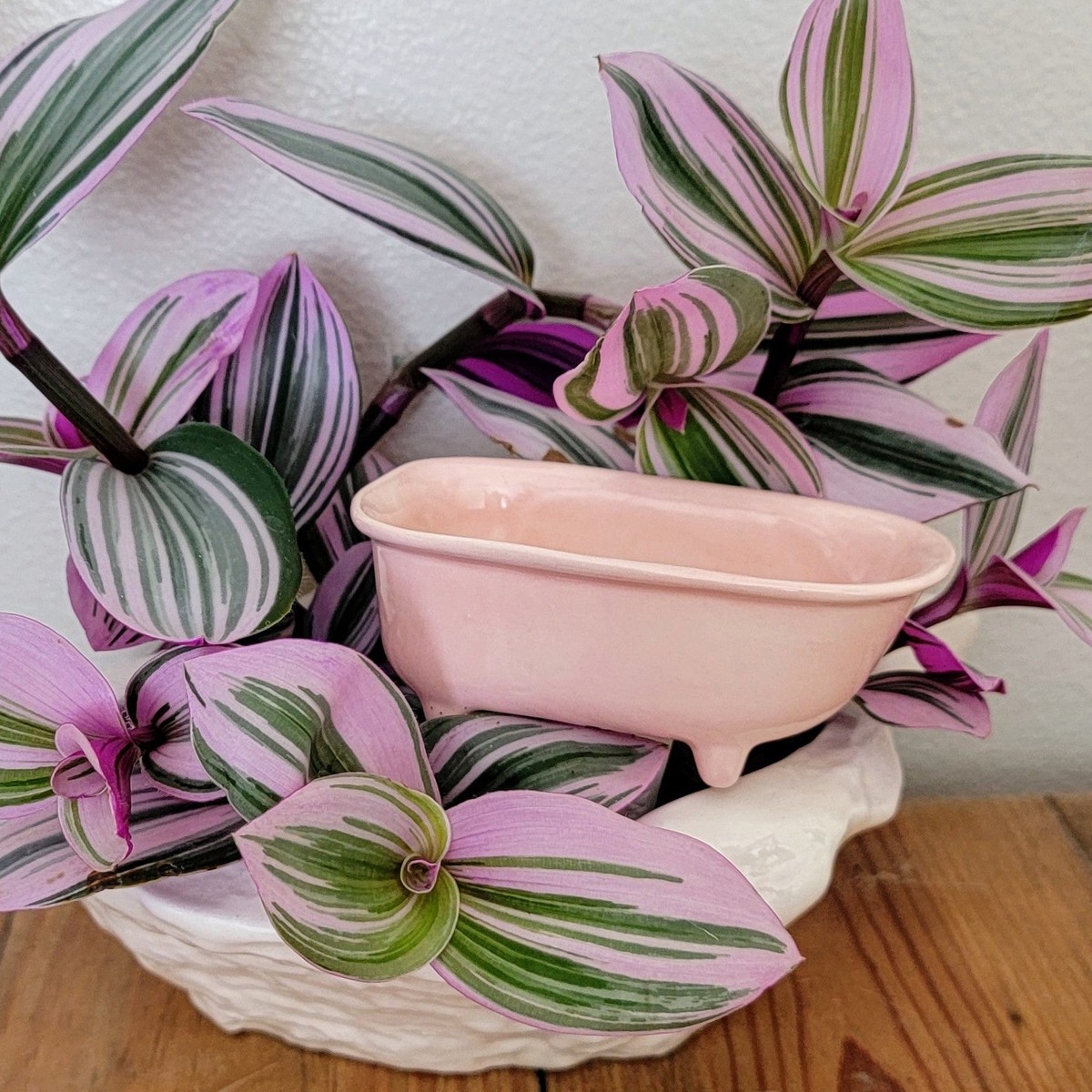 Bathtub Watering Spike White