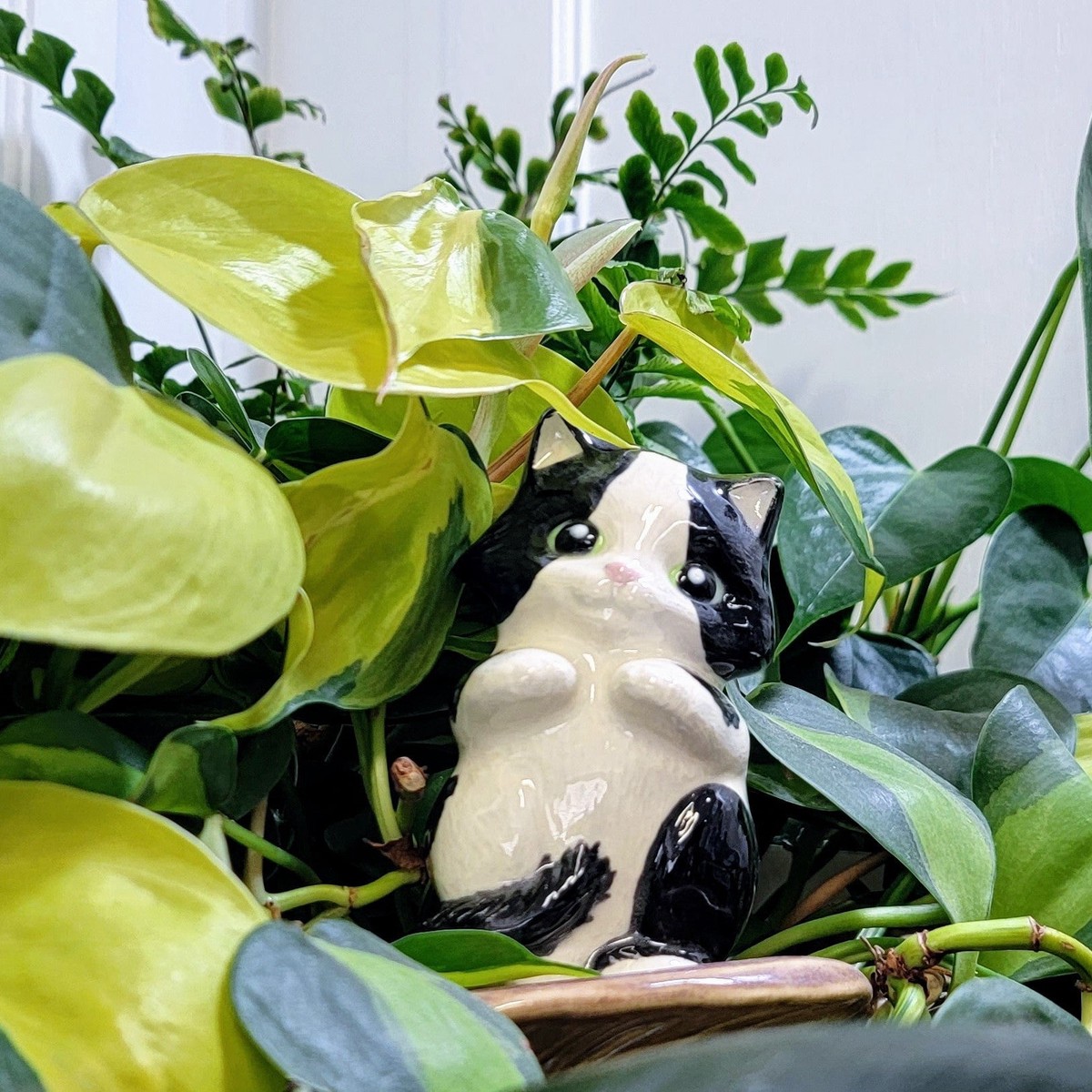 Cat Watering Spike GreyNWhite