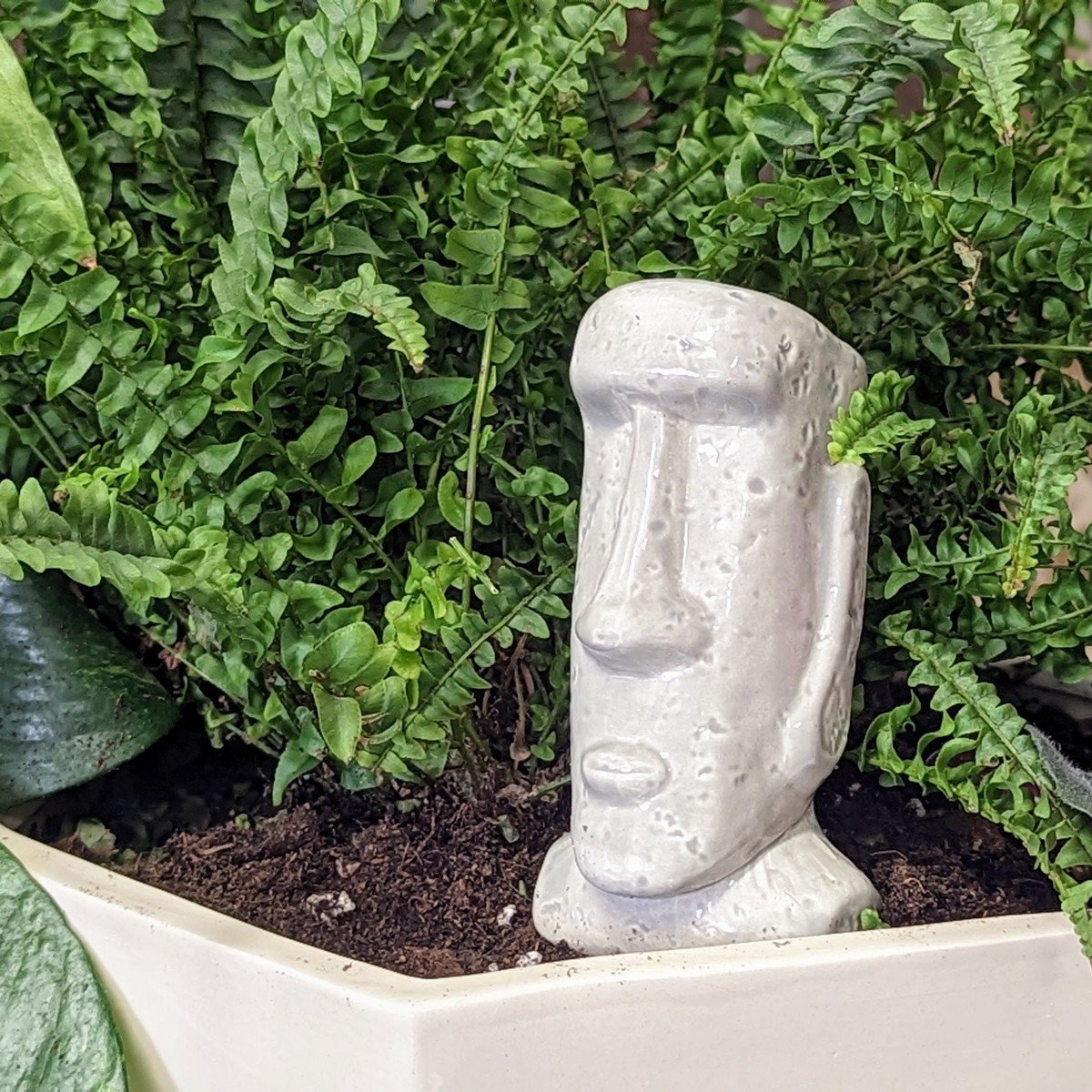 Moai Watering Spike Grey