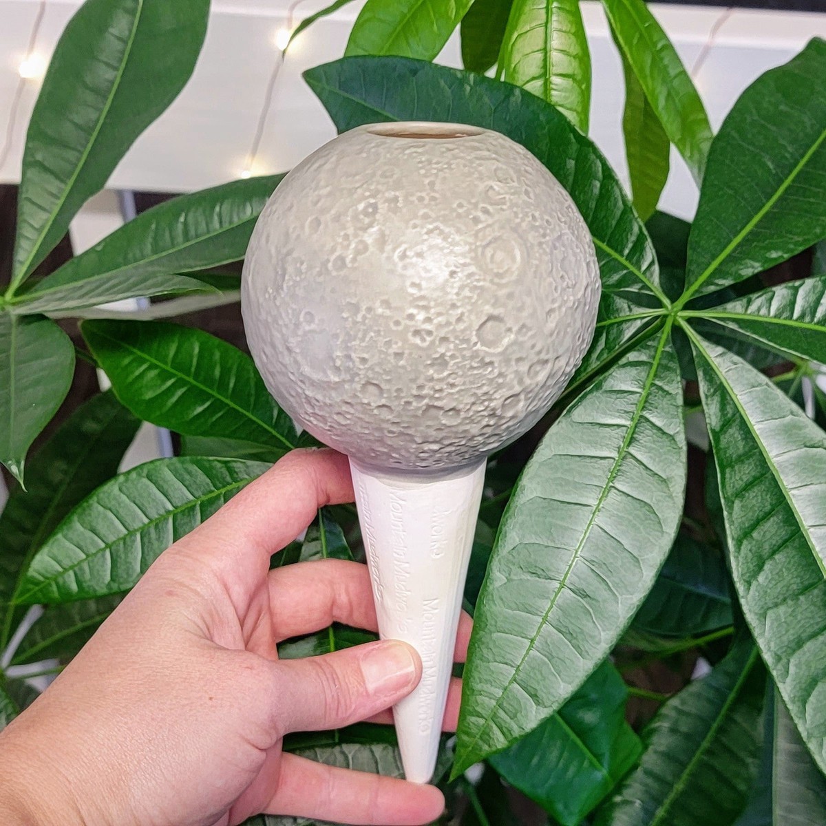 Moon Plant Watering Spike SweetDreams