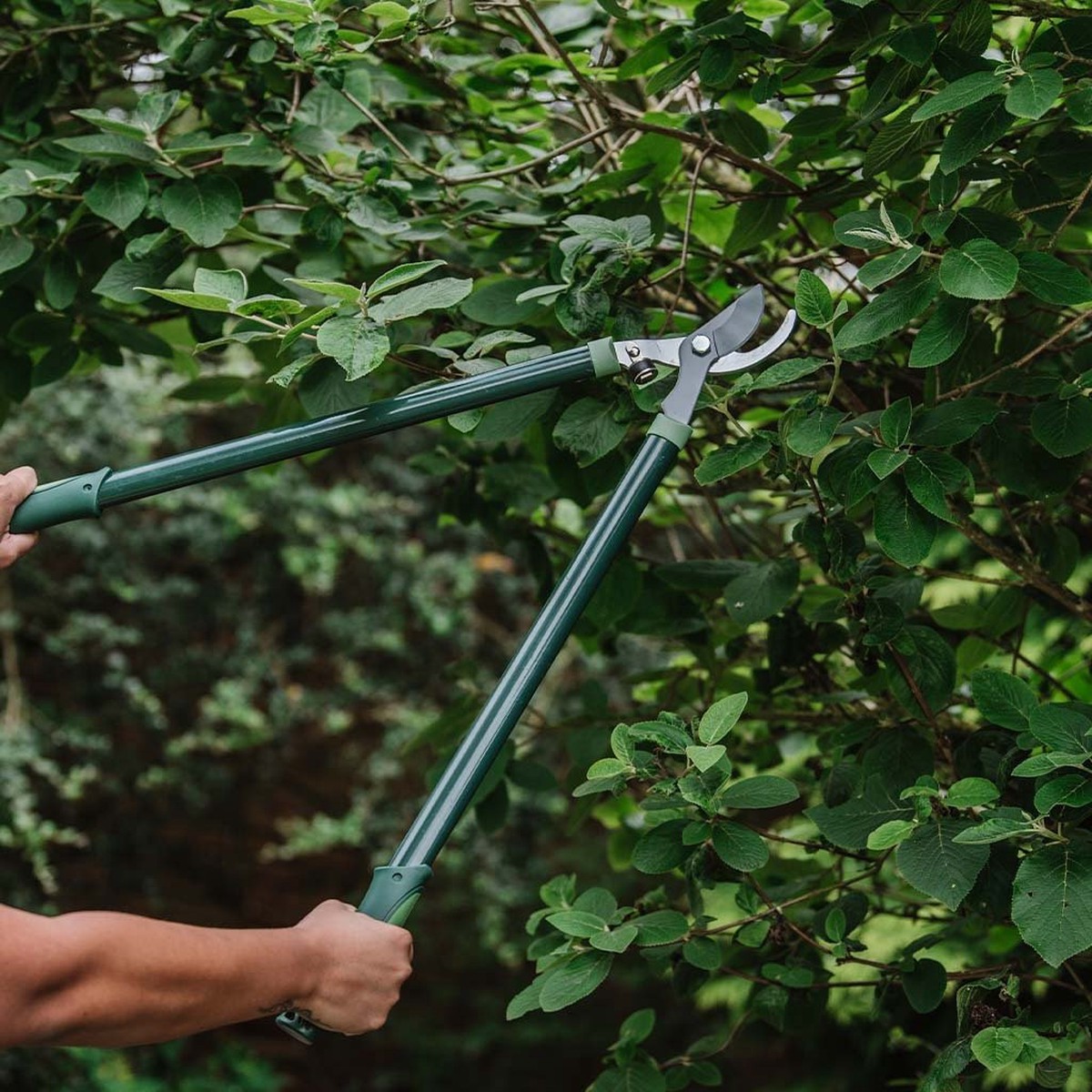 Add-On GardenerS Mate Bypass Loppers