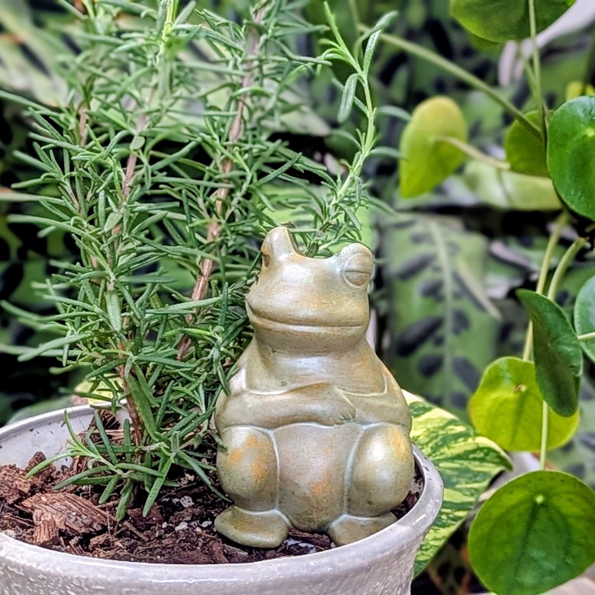 Chill Frog Watering Spike MossyGreen