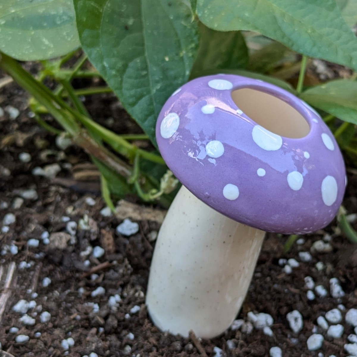 Medium Mushroom Watering Spike PurpleWithSpots