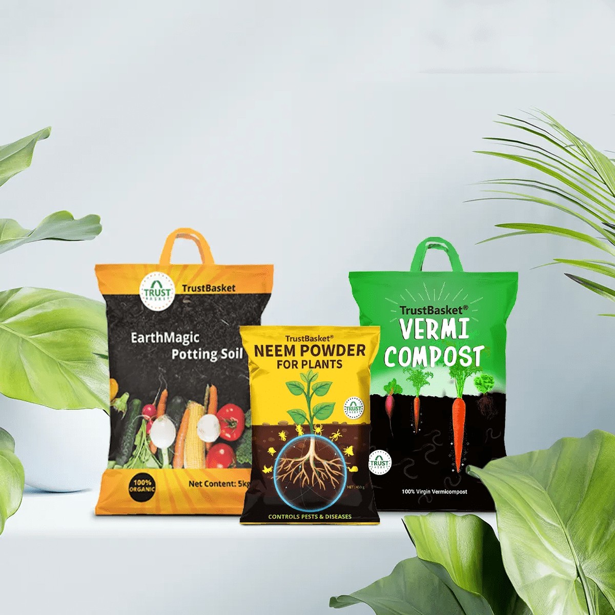 TrustBasket Healthy Greens Grow Kit