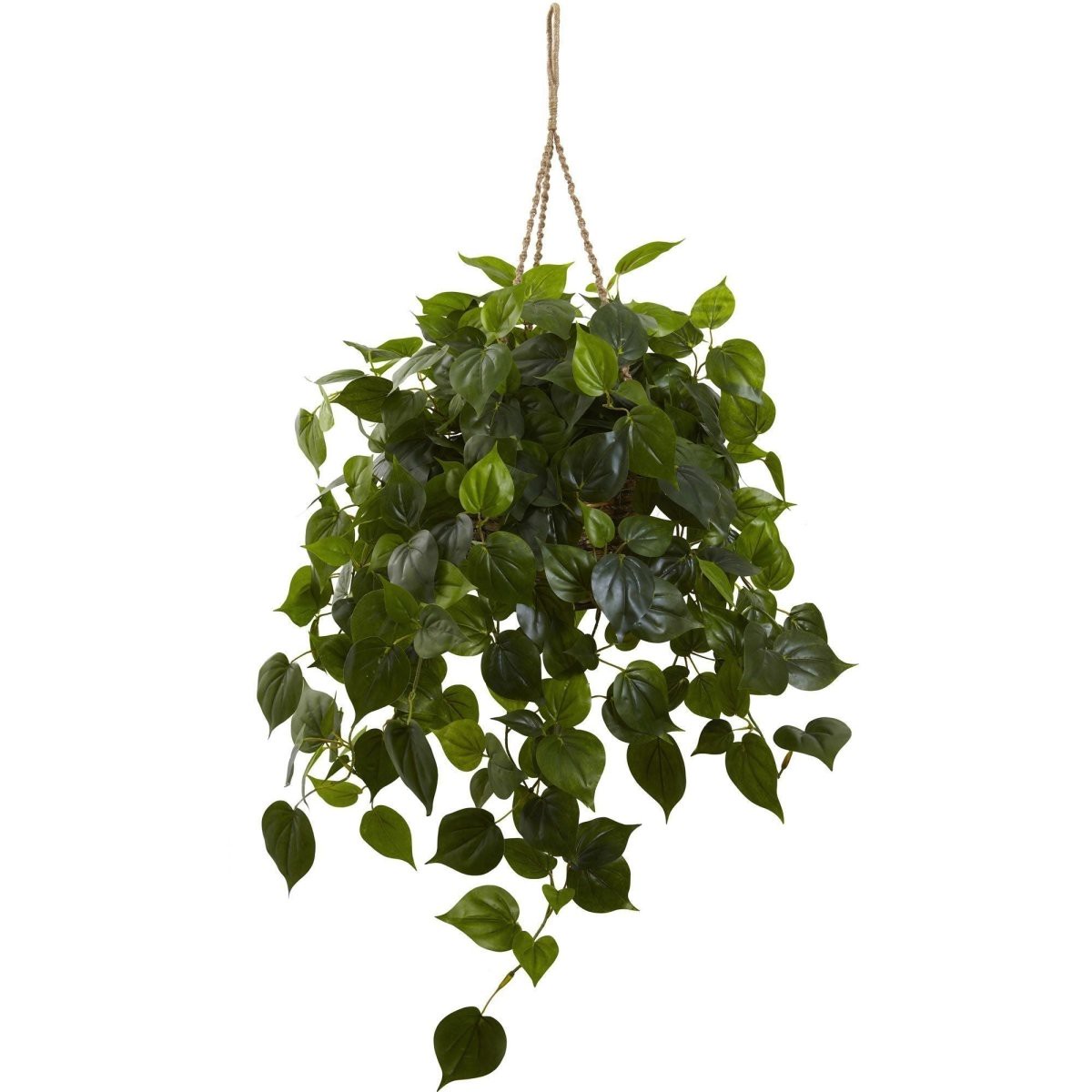 36-In Philodendron Hanging Basket Uv Resistant (IndoorOutdoor)
