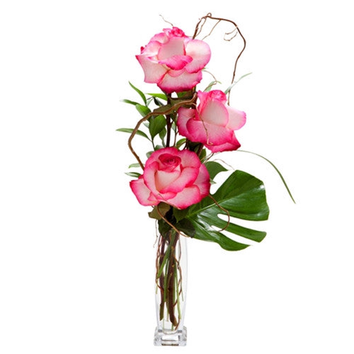 Petite Amore Pink