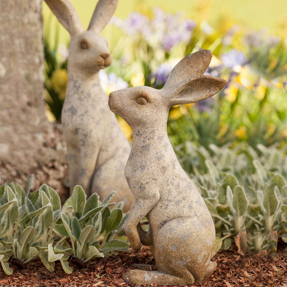 Short Sitting Bunny