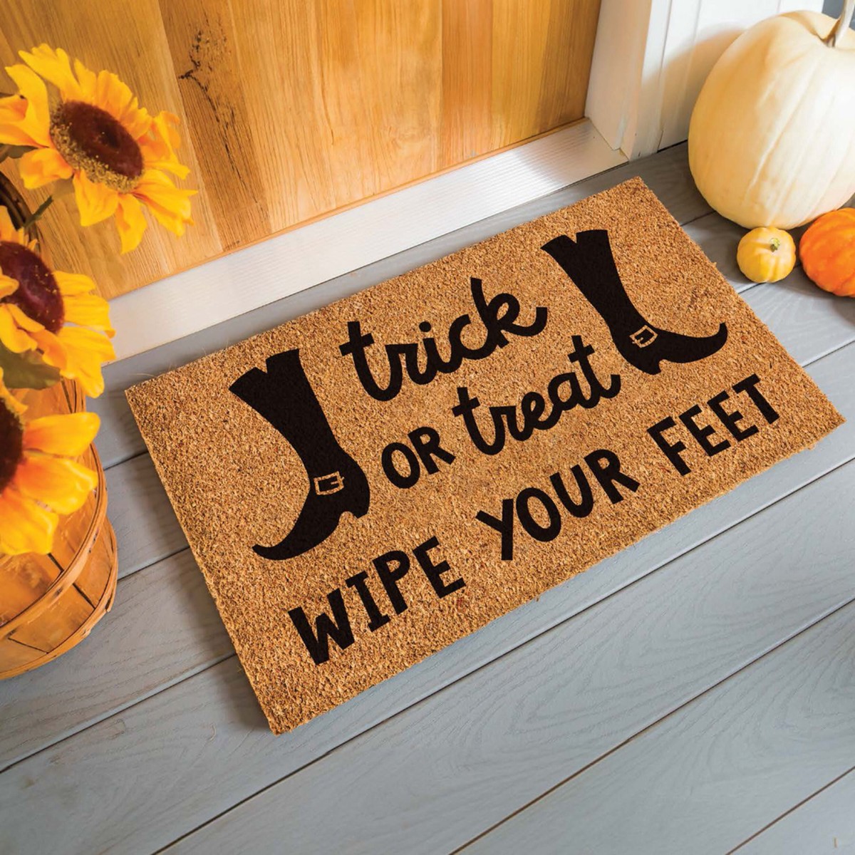 Trick Or Treat Wipe Your Feet Coir Doormat 28