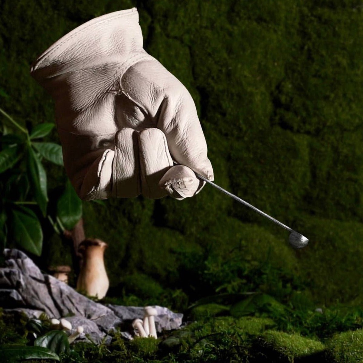 Bendy 14 Gardening Teaspoon Drugs For Plants