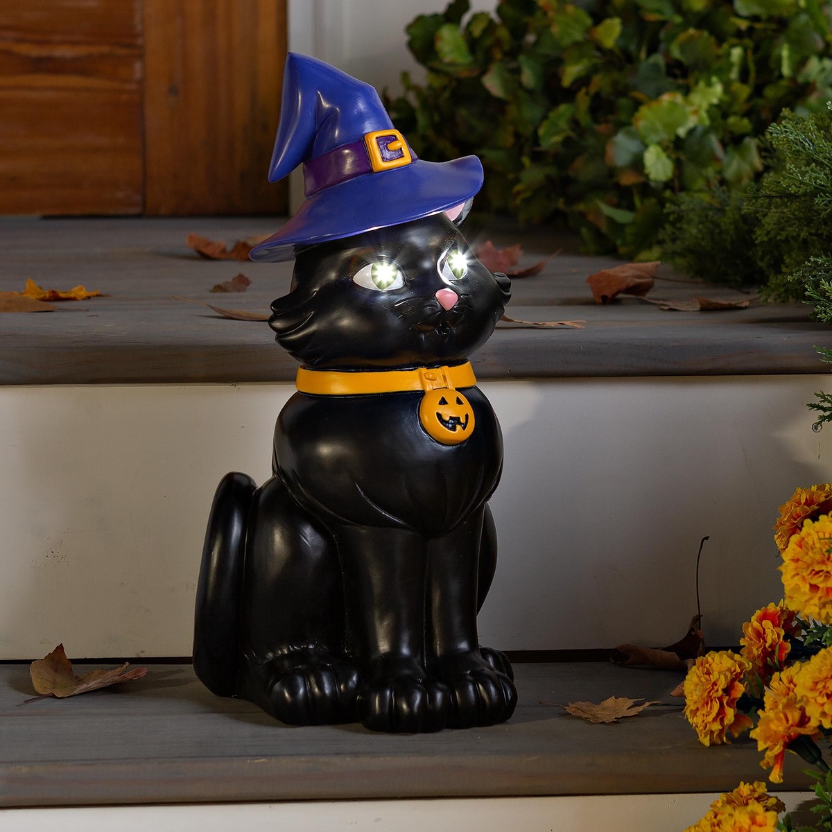 IndoorOutdoor Lighted Black Cat Shorty Halloween Statue