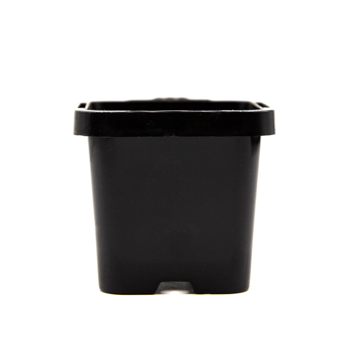 66Mm Square Pot TenPack