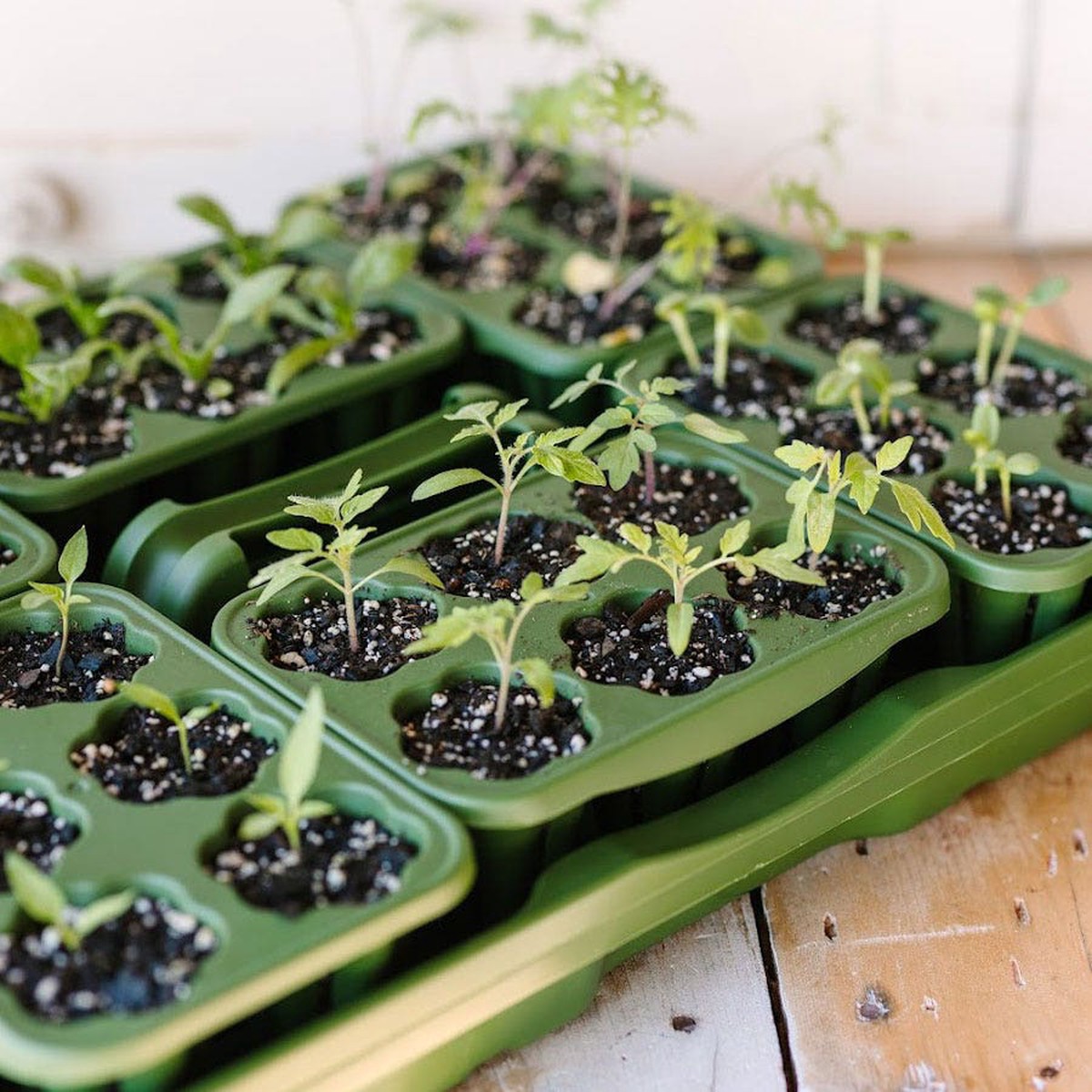 GreenStalk Seed Starting Kit