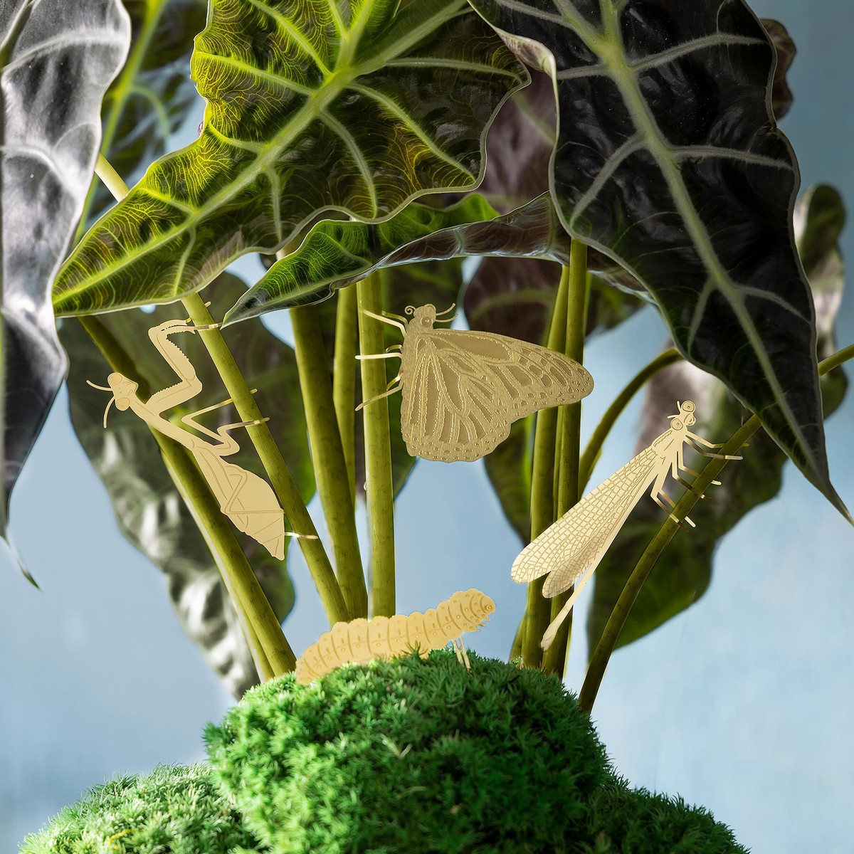 Brass Insect Plant Hugger