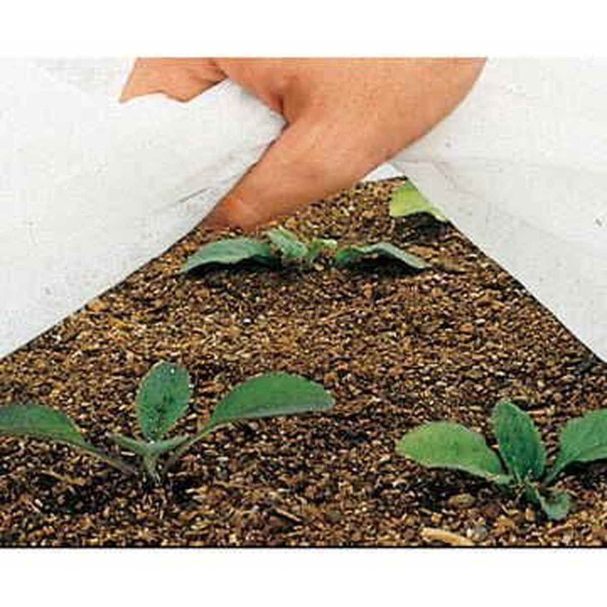 Parks Plant Frost Protector Fabric