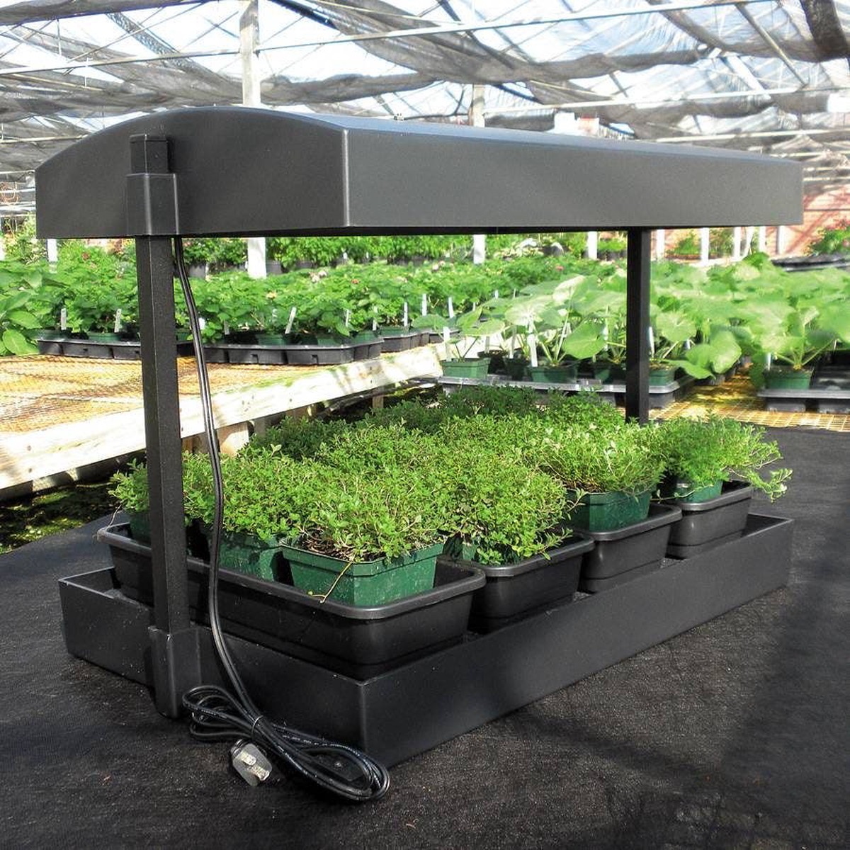 SunBlaster Self-Watering Grow Light Garden
