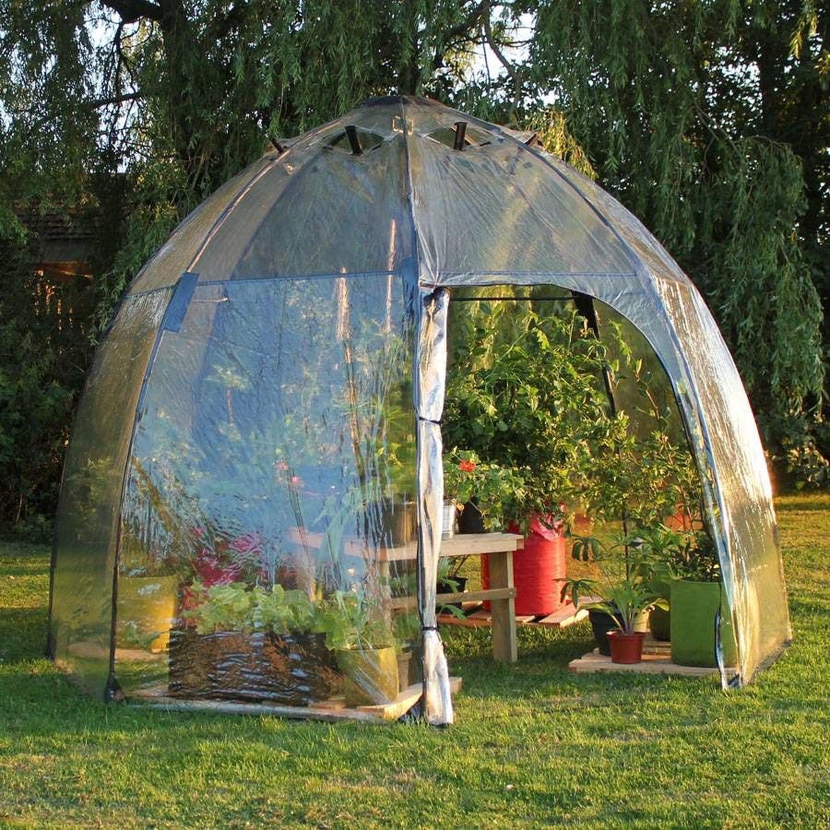 Tierra Garden Sunbubble Greenhouse