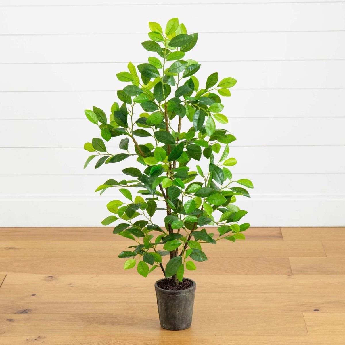 3-ft Ficus Artificial Tree in Planter
